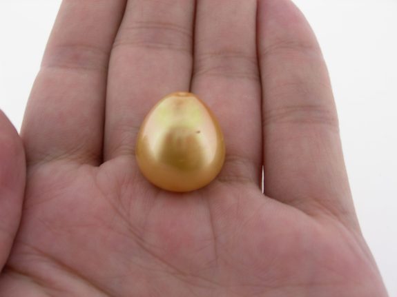 Golden south sea pearls Indonesia