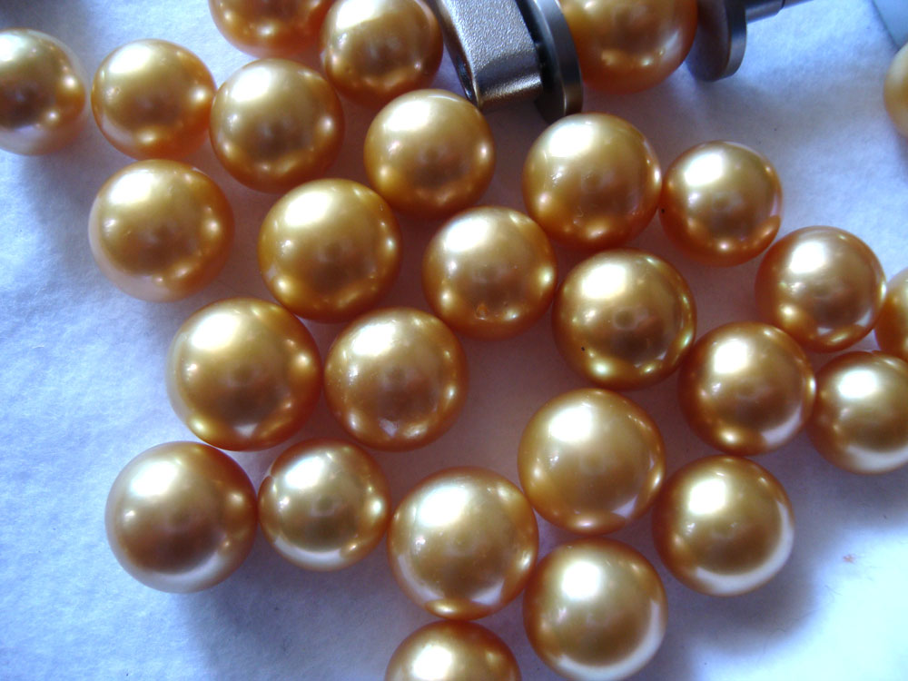 Golden Pearls Indonesia