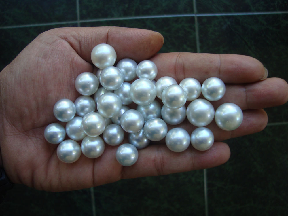 White and silver sea pearls high grade quality Indonesia