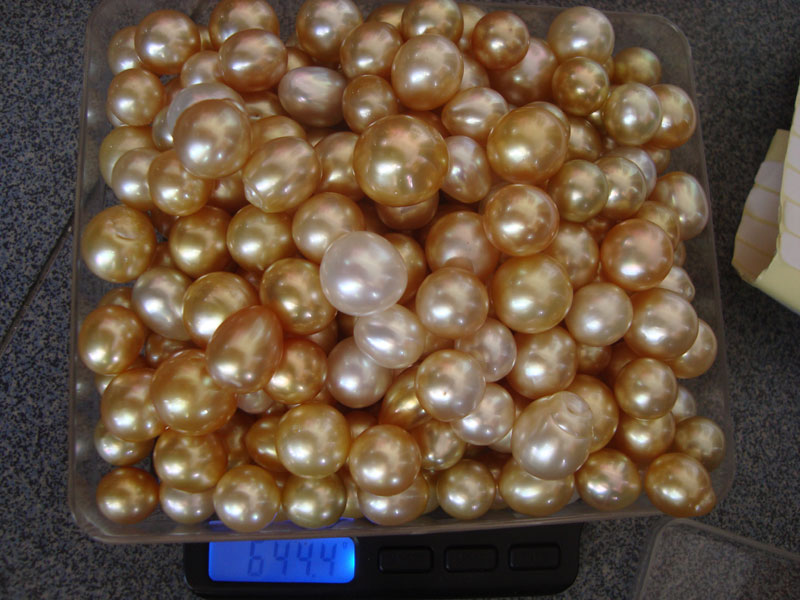Wholesale golden sea pearls