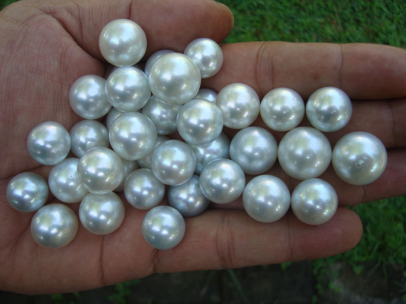 White and silver sea pearls high grade quality Indonesia