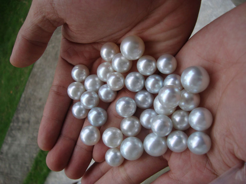 White silver sea pearls