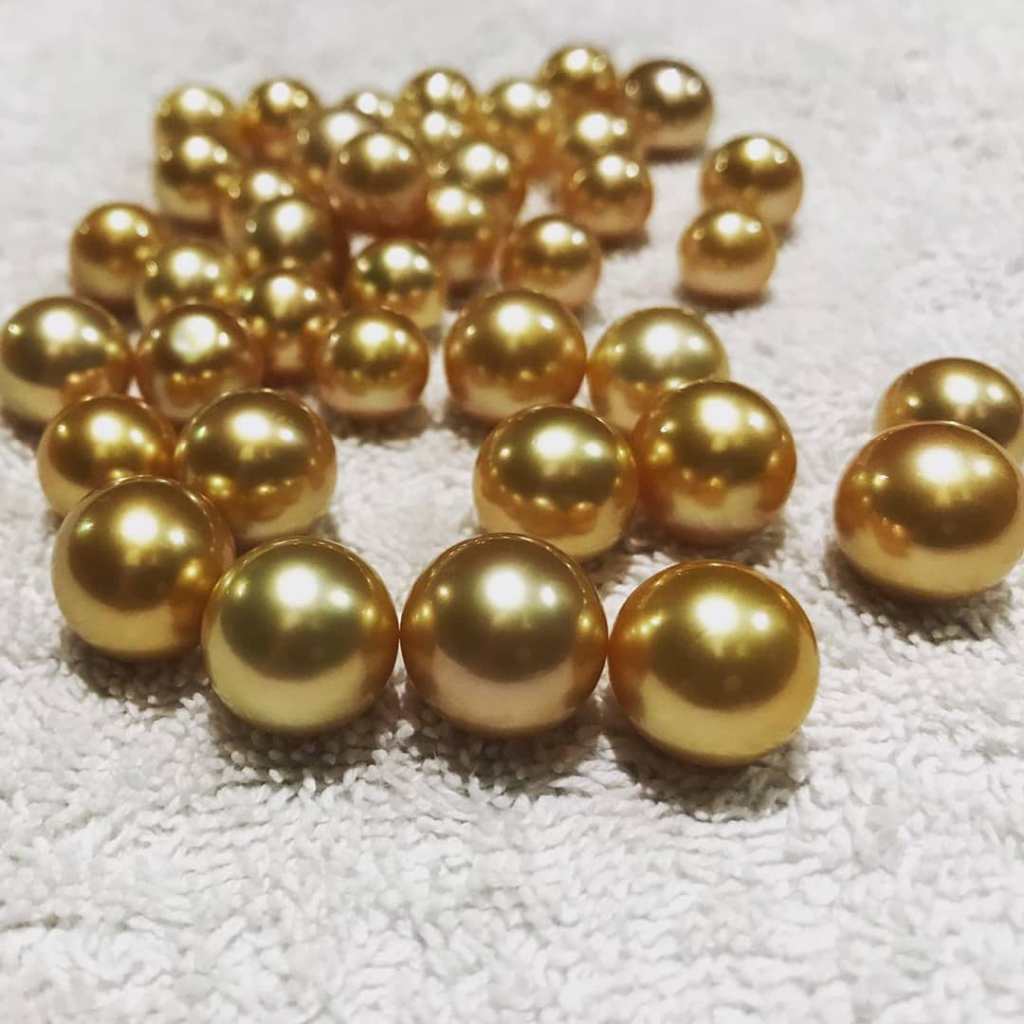 High grade quality Golden south sea pearls Indonesia