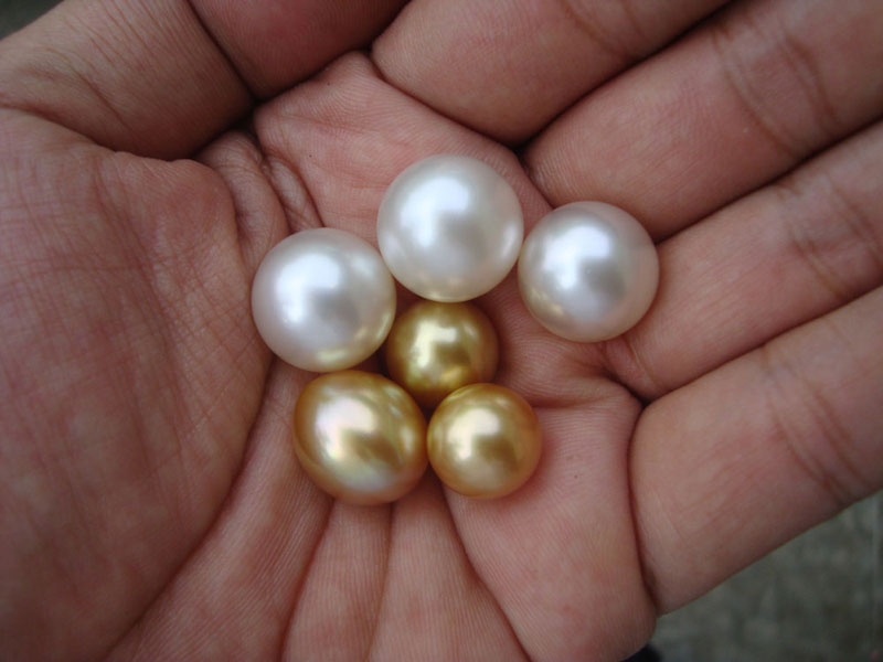 Golden South Sea Pearls Indonesia