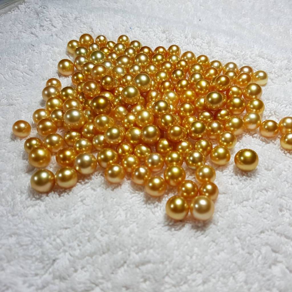 Golden South Sea Pearls Indonesia