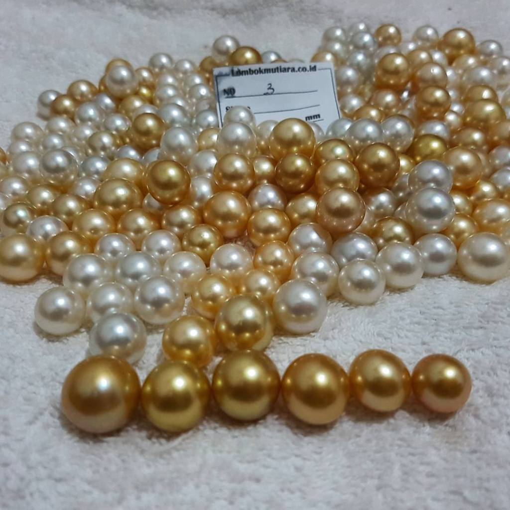 Mix golden and white south sea pearls Indonesia