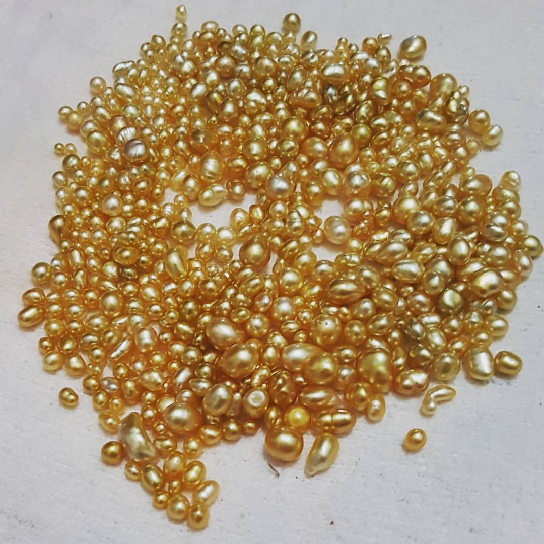 Golden Keshi pearls