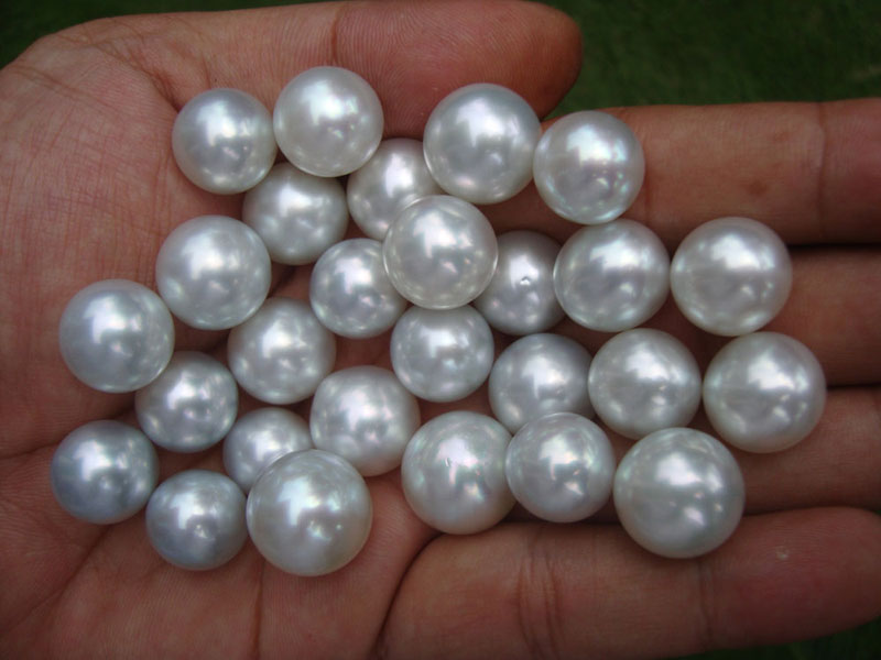 White and Silver south sea pearls Indonesia